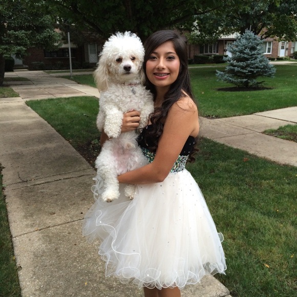 Homecoming Mori Lee by Madeline Gardner Dress - Picture 3 of 5